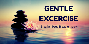Copy of Gentle Excercise header.p
 ng